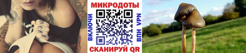 гидра ССЫЛКА Миньяр Галлюциногенные грибы Psilocybe