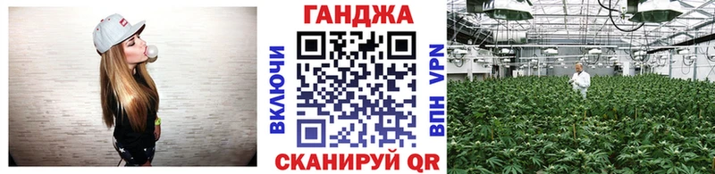 Конопля сатива  Миньяр 
